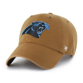Panthers de Carolina '47 Clean Up